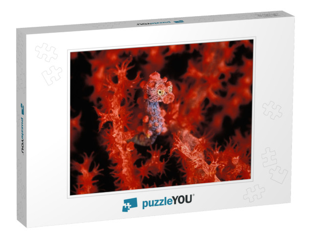 A Bright Red Pygmy Sea Horse Hiding... Jigsaw Puzzle