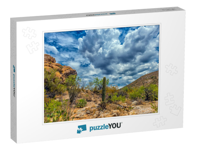 Arizona Desert Landscape with Saguaro Cactus At Sunset... Jigsaw Puzzle