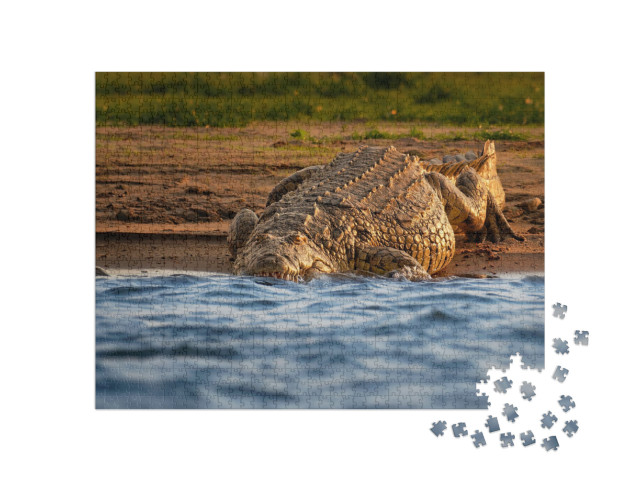 Nile Crocodile - Crocodylus Niloticus Large Crocodilian N... Jigsaw Puzzle with 1000 pieces