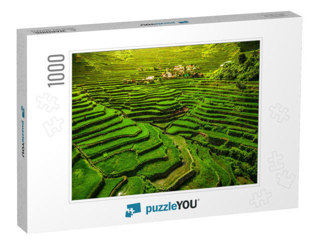 World Heritage Ifugao Rice Terraces in Batad, Northern Lu... Jigsaw Puzzle with 1000 pieces