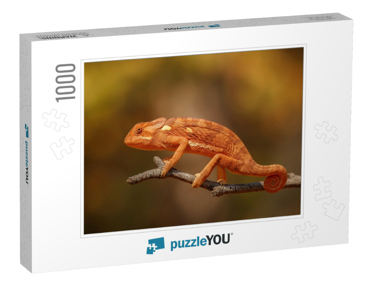 Flap Necked Chameleon with Amazing Blurry Background. Wil... Jigsaw Puzzle with 1000 pieces