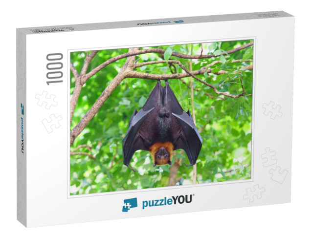 Fruit Bat Hanging on Tree in Forest. Lyles Flying Fox... Jigsaw Puzzle with 1000 pieces