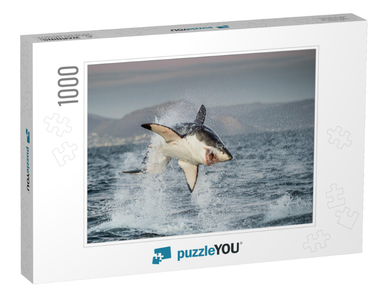 Great White Shark Carcharodon Carcharias Breaching in an... Jigsaw Puzzle with 1000 pieces