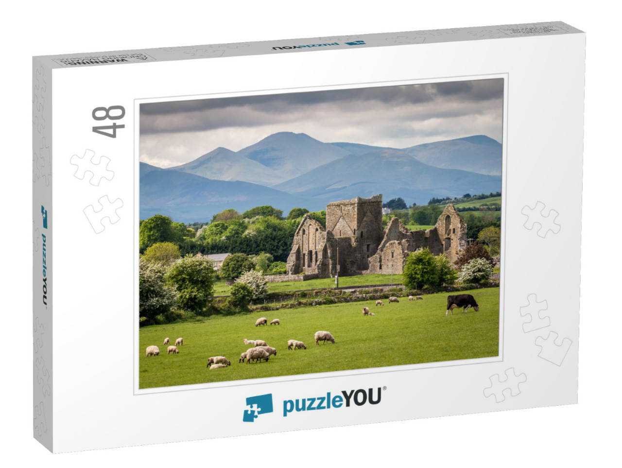 Idyllic Irish Landscape... Jigsaw Puzzle with 48 pieces