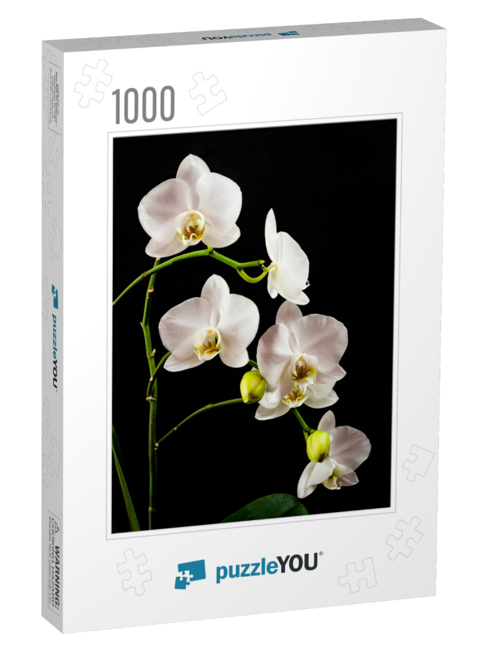 White Orchid Branch Heavy Blossoming with Large White Flo... Jigsaw Puzzle with 1000 pieces