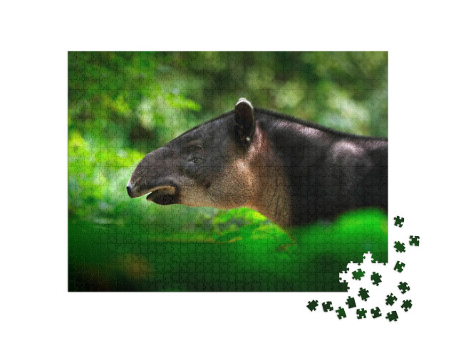 Tapir in Nature. Central America Baird's Tapir, Tapirus B... Jigsaw Puzzle with 1000 pieces