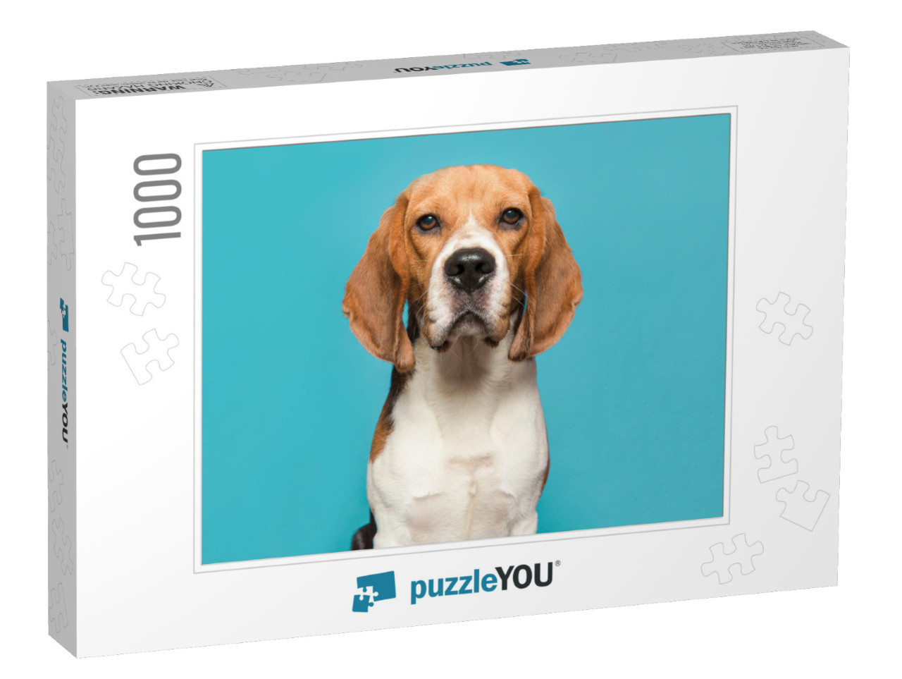 Portrait of a Beagle Looking At the Camera on a Blue Back... Jigsaw Puzzle with 1000 pieces