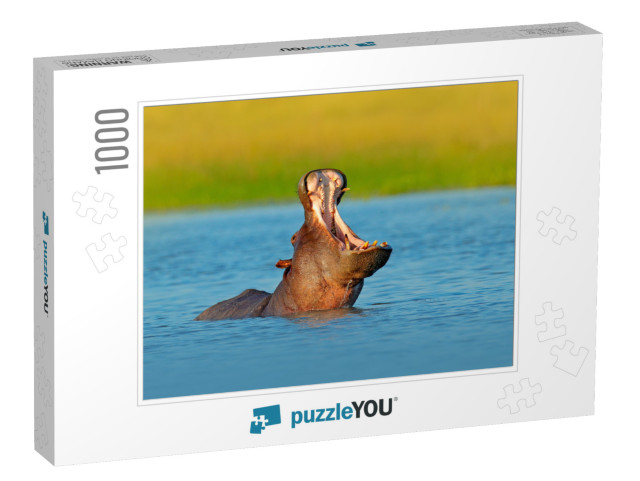 Hippo with Open Muzzle in the Water. African Hippopotamus... Jigsaw Puzzle with 1000 pieces