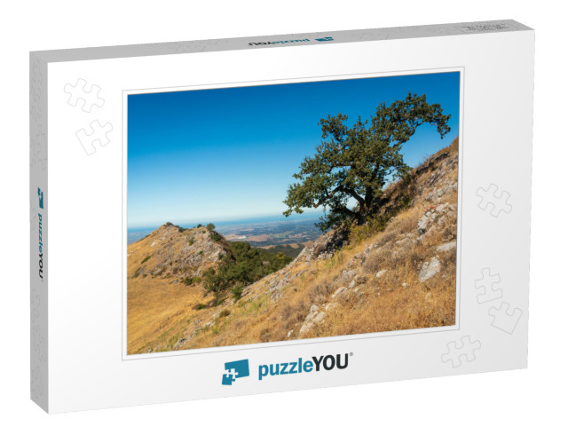 Fremont Peak State Park in California... Jigsaw Puzzle