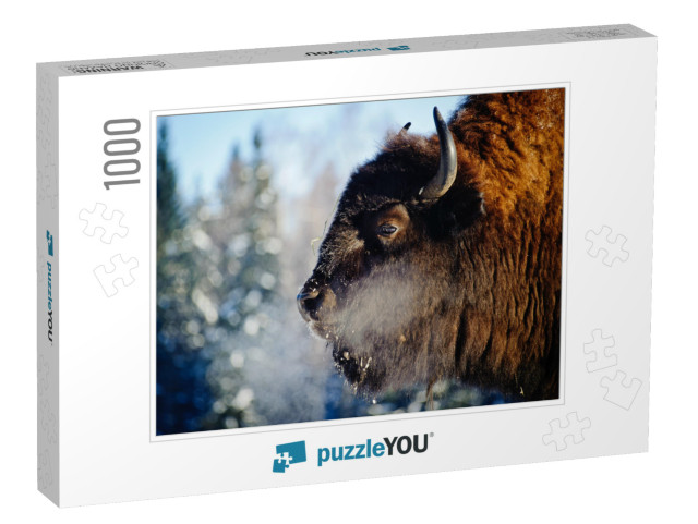 Bison in the Wild, in Winter, Against the Background of F... Jigsaw Puzzle with 1000 pieces