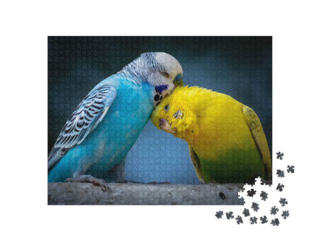 Portrait of Two Cute Cuddling Budgies Perched on Branch w... Jigsaw Puzzle with 1000 pieces