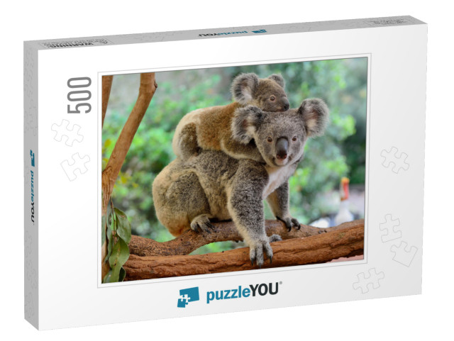 Mother Koala with Baby on Her Back, on Eucalyptus Tree... Jigsaw Puzzle with 500 pieces