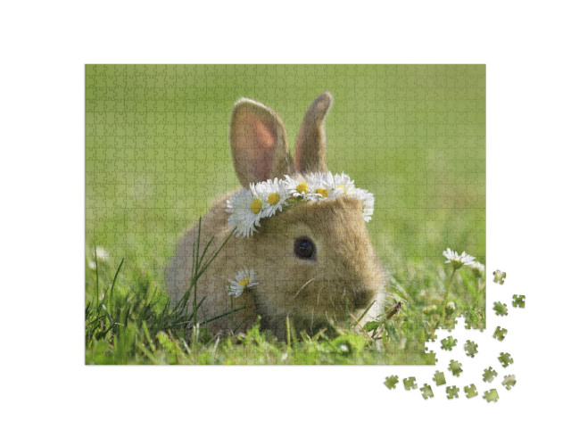 Bunny in Grass, Daisy Coronet, Spring & Easter... Jigsaw Puzzle with 1000 pieces