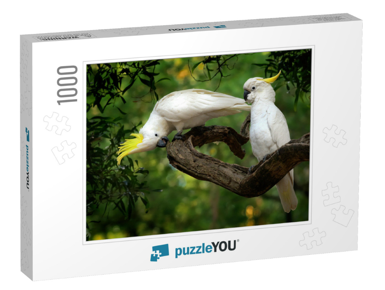 Cacatua Galerita - Sulphur-Crested Cockatoo Sitting on th... Jigsaw Puzzle with 1000 pieces