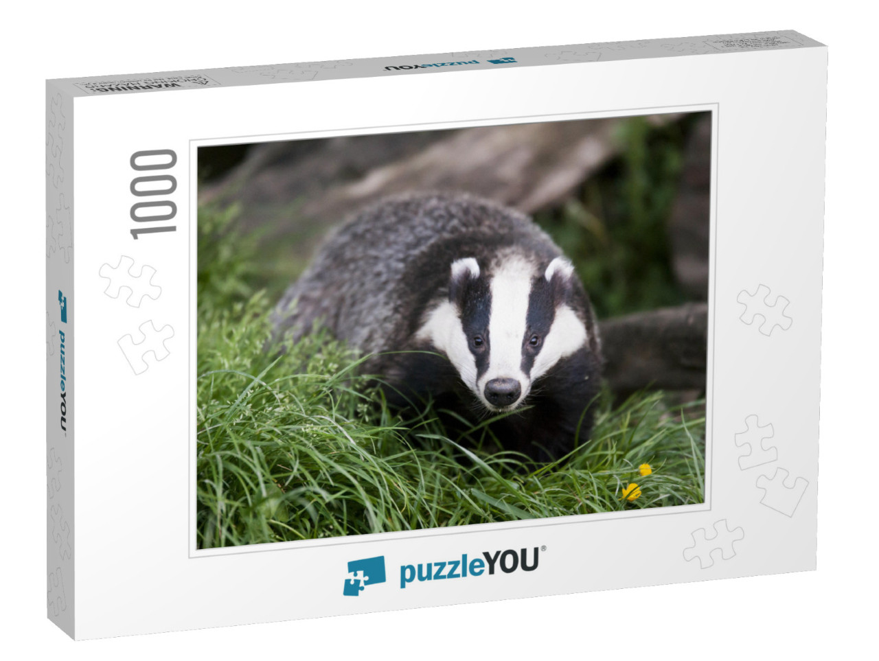 The European Badger Also Called Eurasian Badger & is or W... Jigsaw Puzzle with 1000 pieces