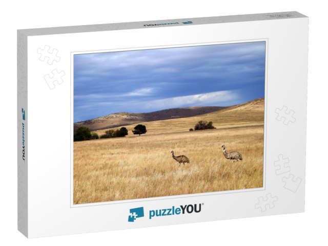 Wild Emus in South Australia... Jigsaw Puzzle