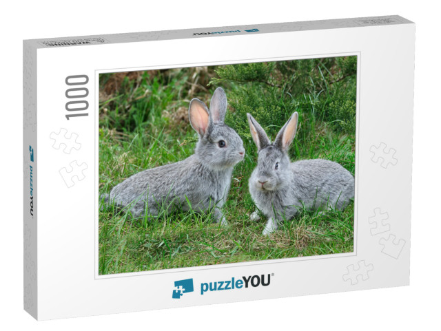 Fluffy Rabbits on the Green Grass... Jigsaw Puzzle with 1000 pieces