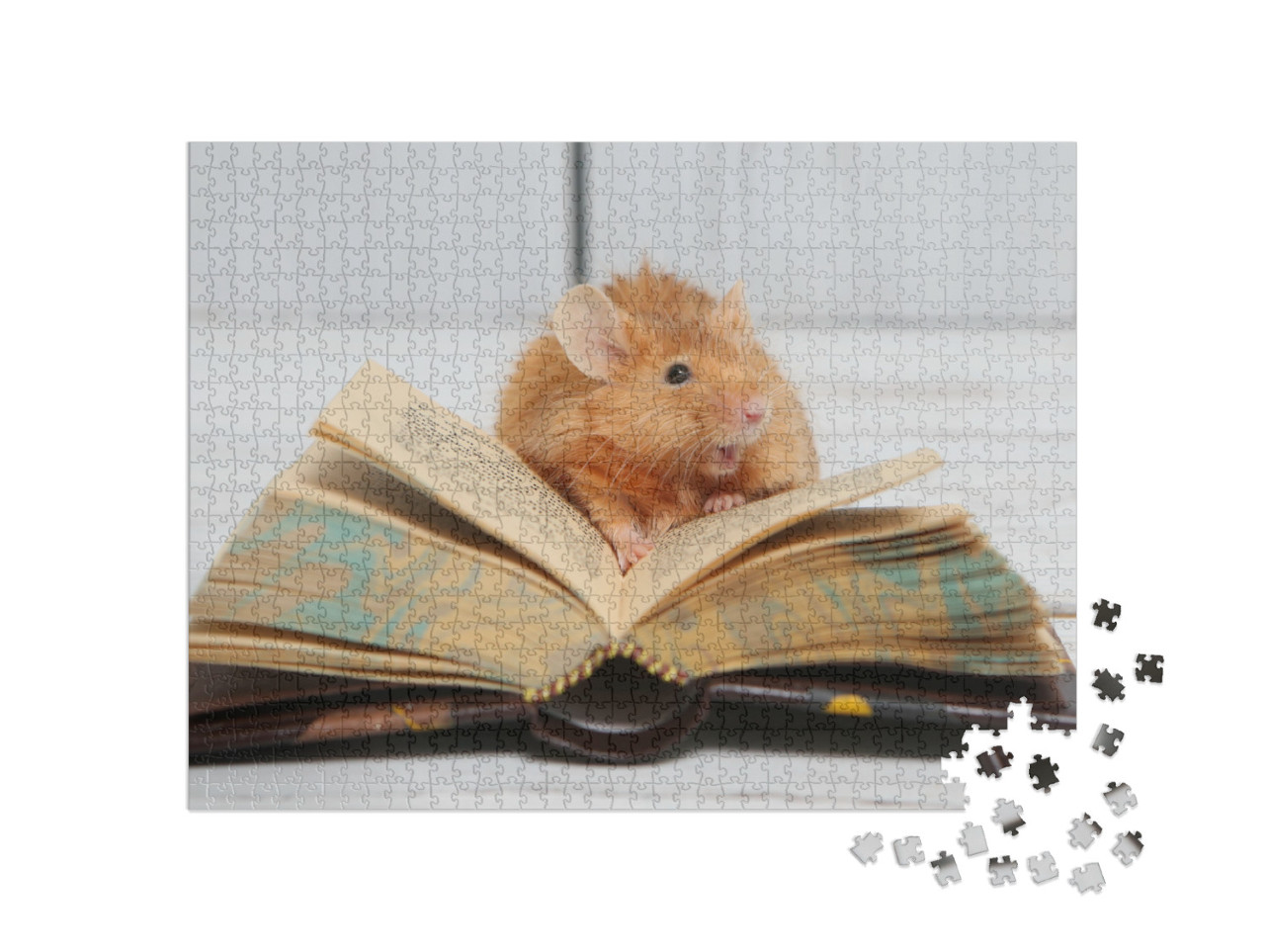 Mouse. Cute Pet Mouse Reads. Talented Animal with Book. B... Jigsaw Puzzle with 1000 pieces