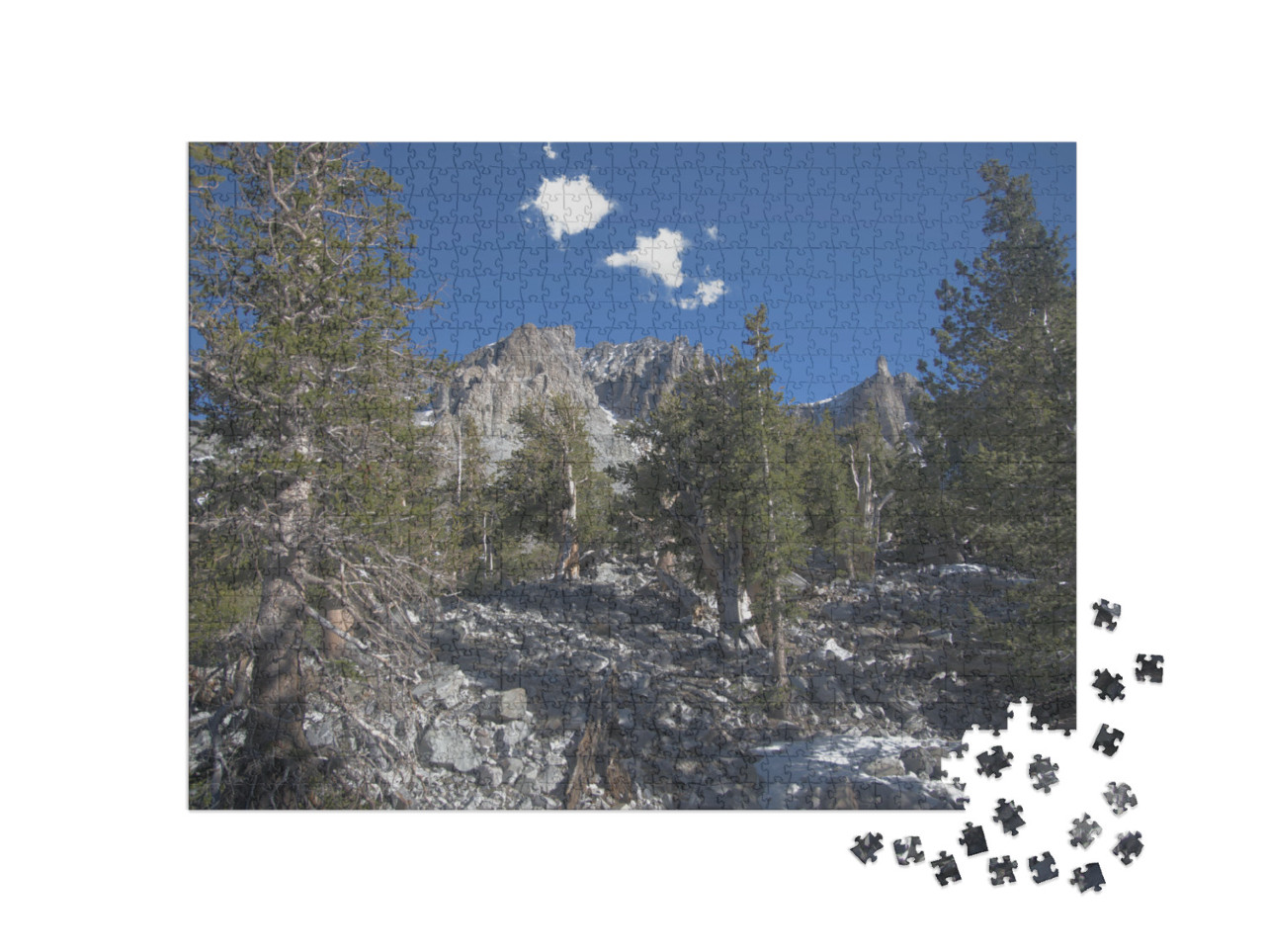 Bristlecone Pines in Great Basin National Park in Nevada_... Jigsaw Puzzle with 1000 pieces