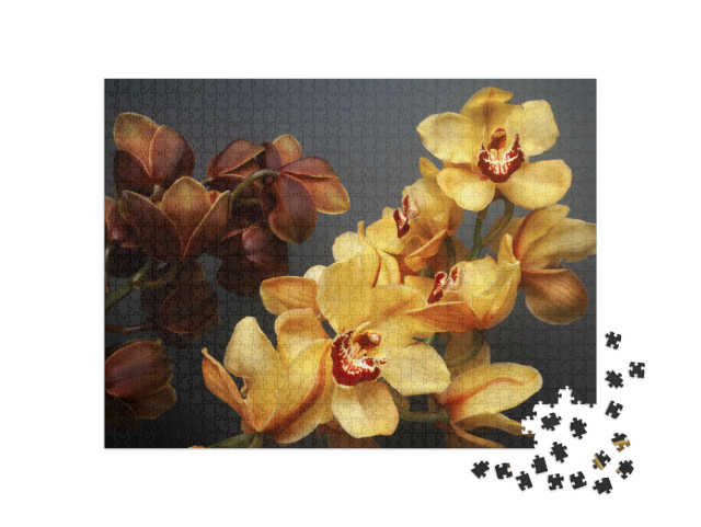 Composition of Beautiful Yellow & Brown Cymbidium Orchid... Jigsaw Puzzle with 1000 pieces