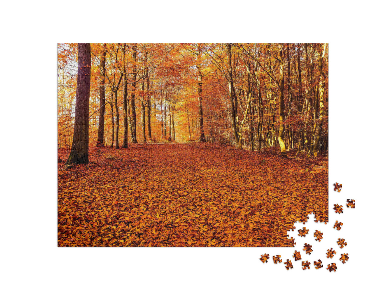 Autumn Forest Road Leaves Fall in Ground Landscape on Aut... Jigsaw Puzzle with 1000 pieces