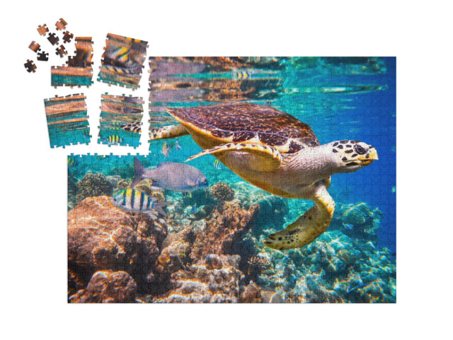 Hawksbill Turtle - Eretmochelys Imbricata Floats Under Wa... | SMART SORTED® | Jigsaw Puzzle with 1000 pieces