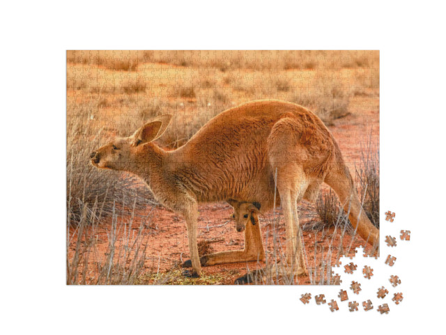 Side View of Red Kangaroo with a Joey in a Pocket, Macrop... Jigsaw Puzzle with 1000 pieces