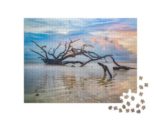 Driftwood Beach Sunrise in Jekyll Island, Georgia, Ga, Us... Jigsaw Puzzle with 1000 pieces