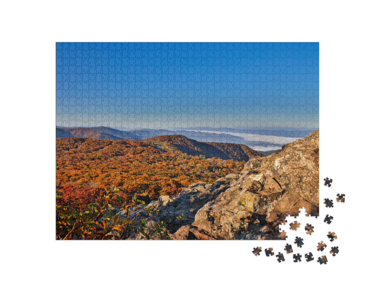 Usa, Virginia, Shenandoah National Park, Fall Color in th... Jigsaw Puzzle with 1000 pieces