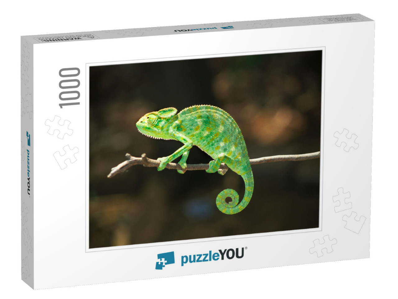 South Asian Chamaeleon, Chamaeleo Zeylanicus... Jigsaw Puzzle with 1000 pieces