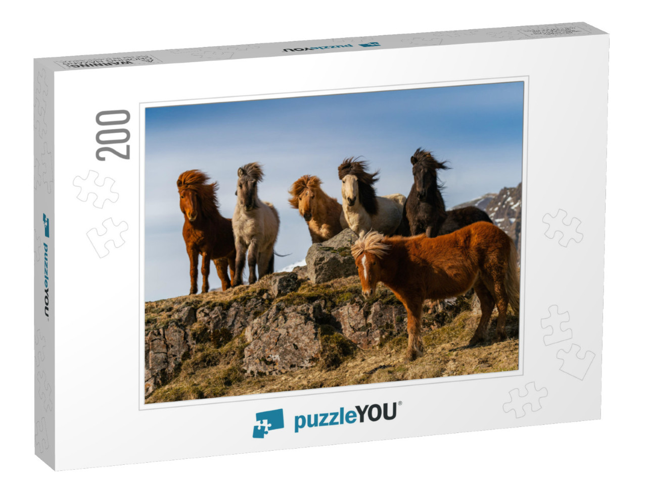 Icelandic Horses. the Icelandic Horse is a Breed of Horse... Jigsaw Puzzle with 200 pieces