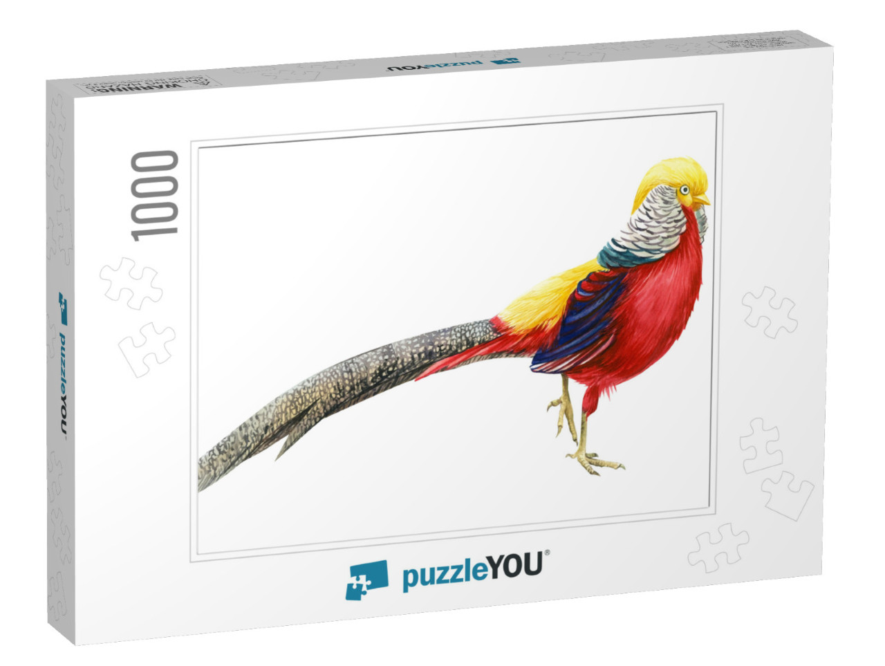 Pheasant on an Isolated White Background, Beautiful Bird... Jigsaw Puzzle with 1000 pieces