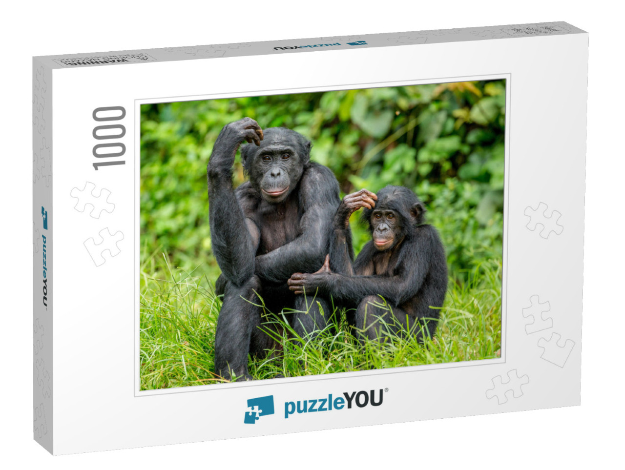 Female Bonobo with a Baby is Sitting on the Grass. Democr... Jigsaw Puzzle with 1000 pieces