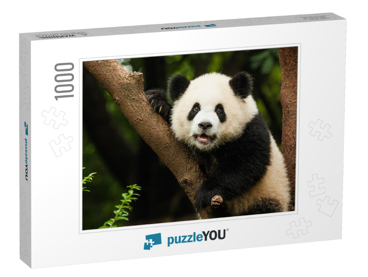 Panda in a Tree... Jigsaw Puzzle with 1000 pieces