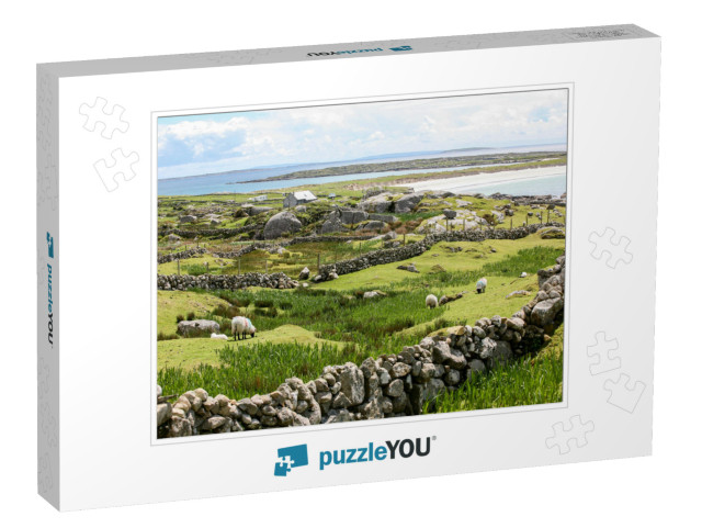 Three Sheep Grazing on the Coast of Ireland on a Cloudy A... Jigsaw Puzzle