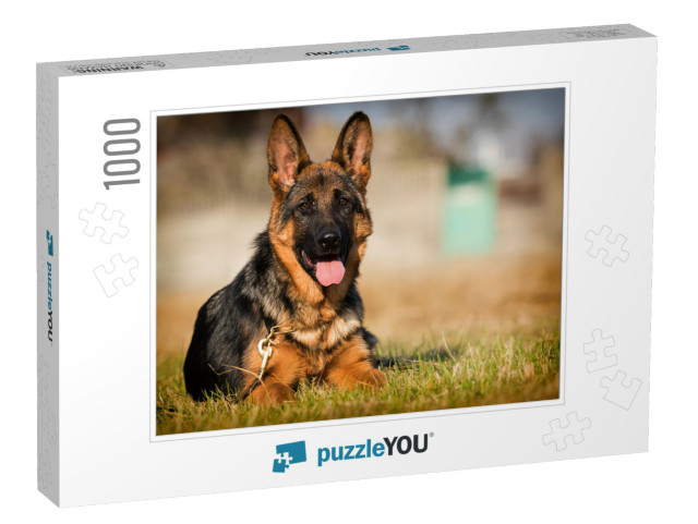 German Shepherd Puppy Age 5 Months in the Grass... Jigsaw Puzzle with 1000 pieces