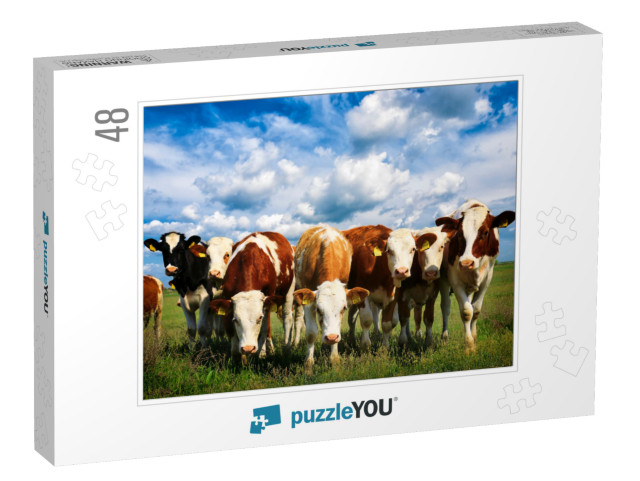 Cows on a Green Summer Meadow... Jigsaw Puzzle with 48 pieces