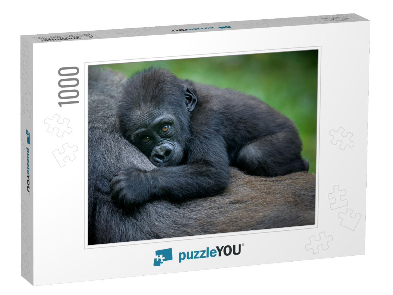 A Gorilla Baby... Jigsaw Puzzle with 1000 pieces