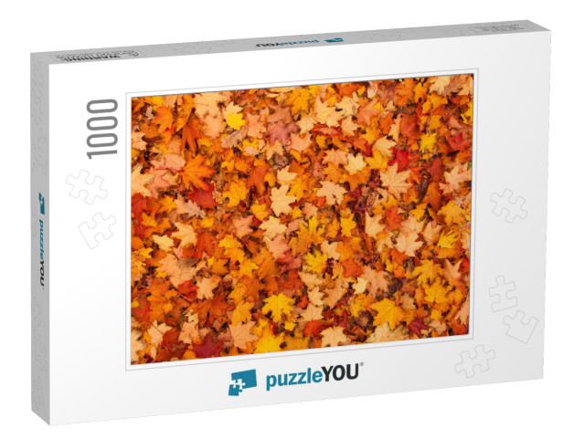 Red & Orange Autumn Leaves Background. Outdoor. Colorful... Jigsaw Puzzle with 1000 pieces