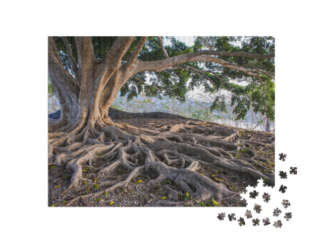 Big Tree Root... Jigsaw Puzzle with 1000 pieces