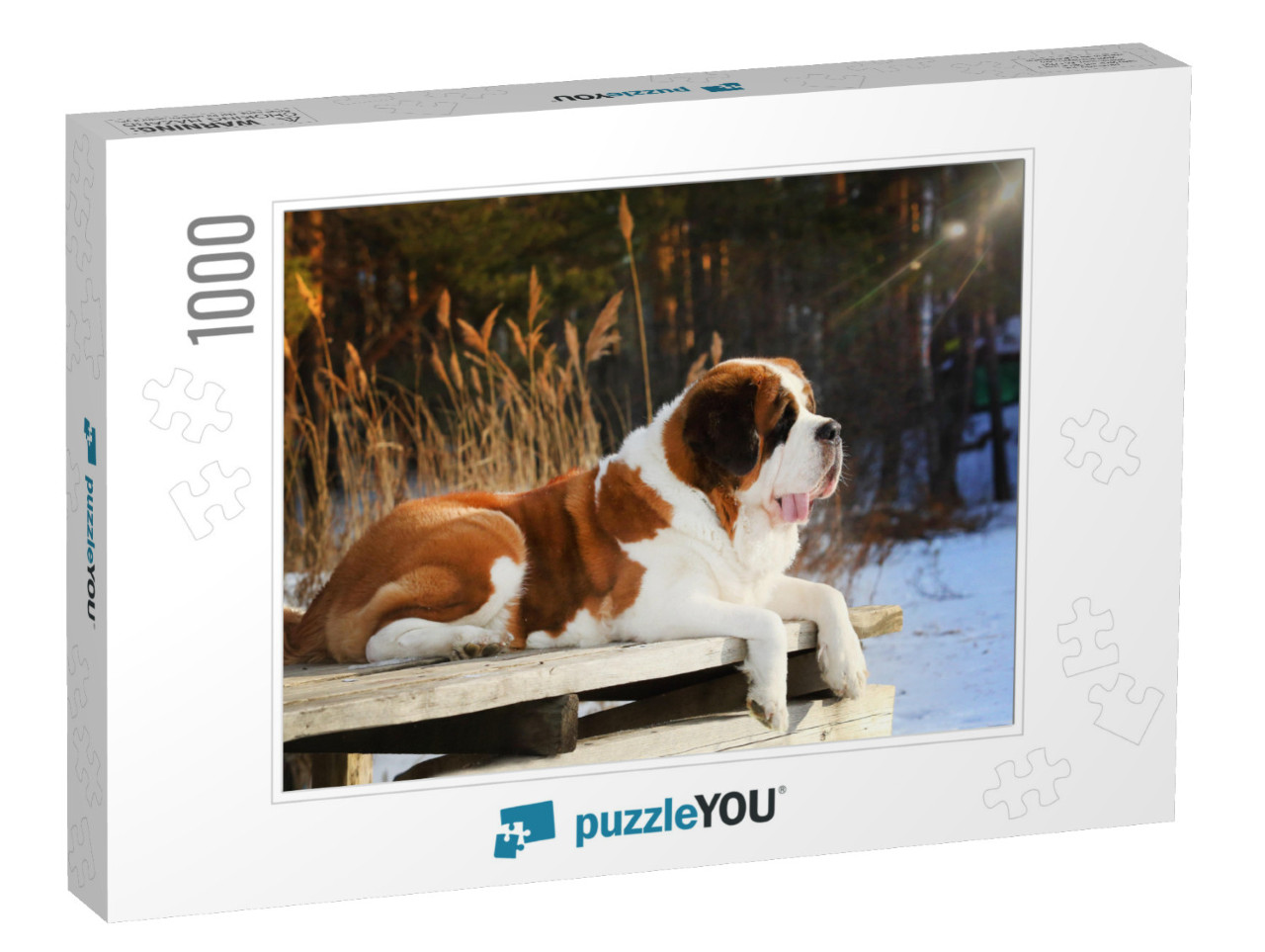 Purebred Dog Saint Bernard Lies on a Wooden Pier in the W... Jigsaw Puzzle with 1000 pieces