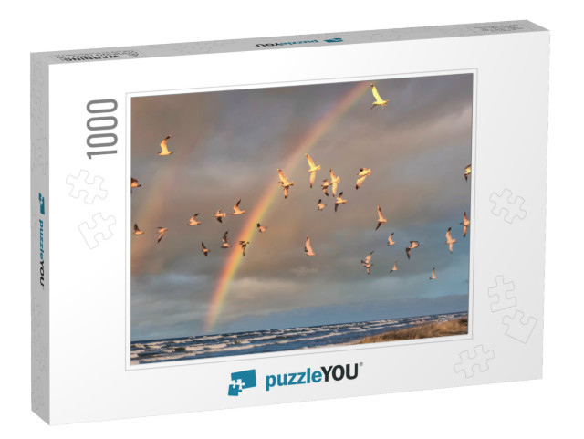 Birds Over a Baltic Sea Beach on a Sunny Day with Rainbow... Jigsaw Puzzle with 1000 pieces