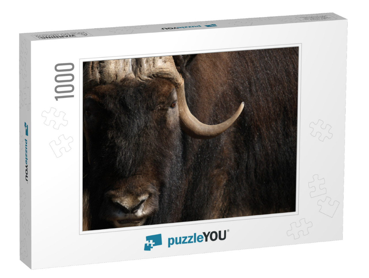 Buffalo Closeup Jigsaw Puzzle with 1000 pieces