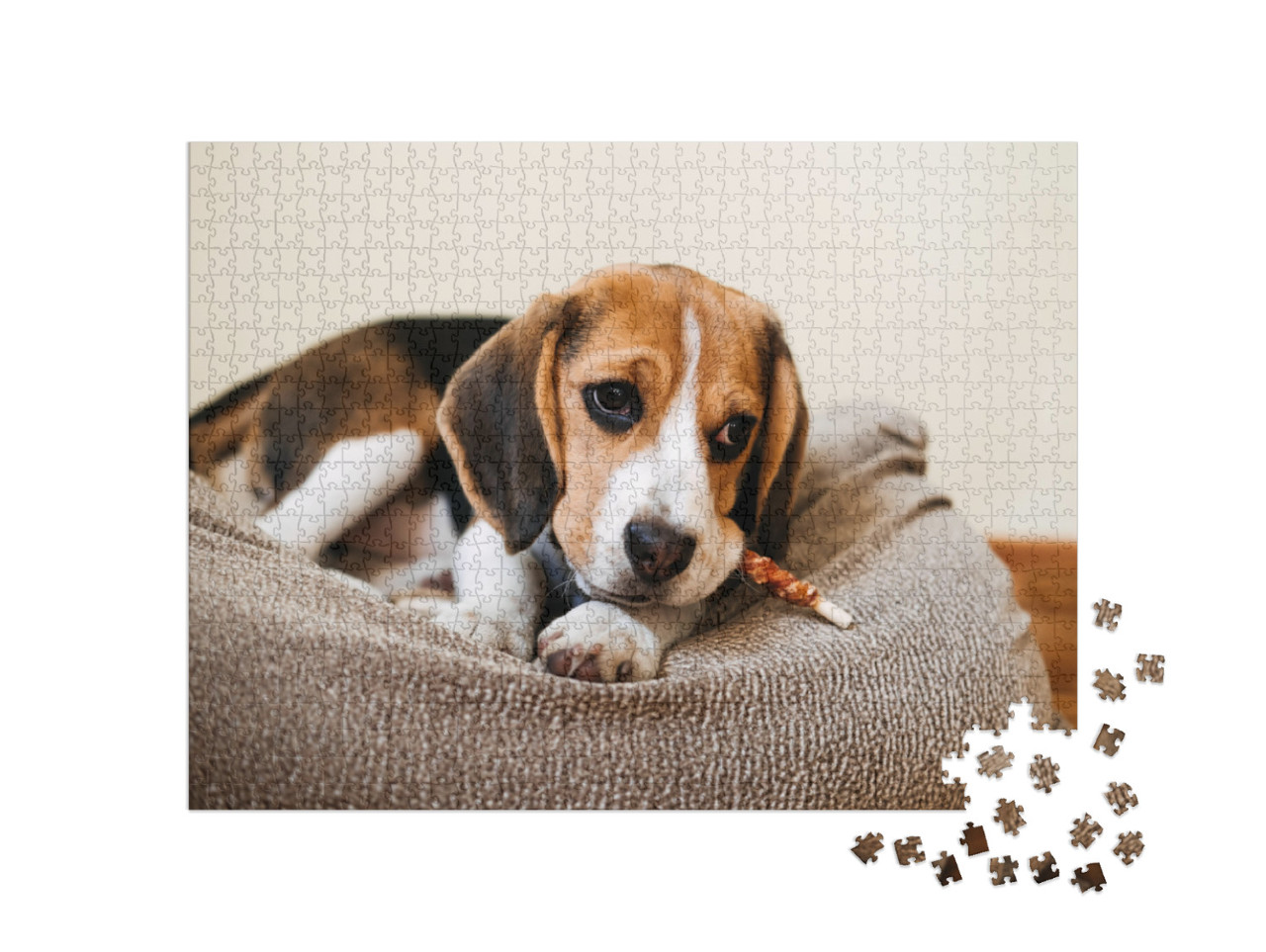 Dog Snack Chewing Sticks for Puppies. Beagle Puppy Eating... Jigsaw Puzzle with 1000 pieces