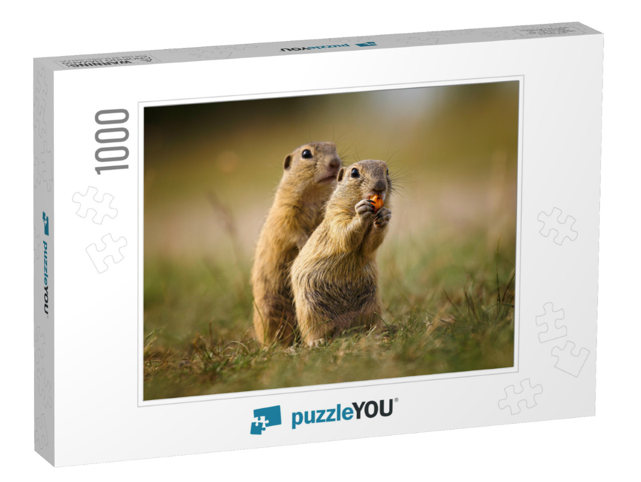 Ground Squirrel in Their Natural Environment. Wildlife Sh... Jigsaw Puzzle with 1000 pieces