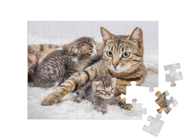 Mom Mother Cat & Baby Cat Kitten... Jigsaw Puzzle with 48 pieces