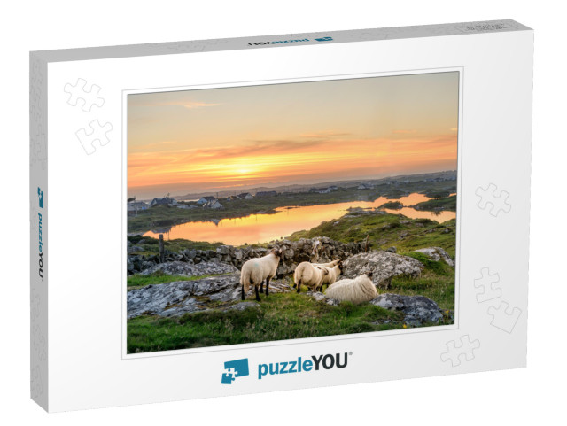 Ireland Sunset At a Lake with Sheep Near Clifden, Roundst... Jigsaw Puzzle