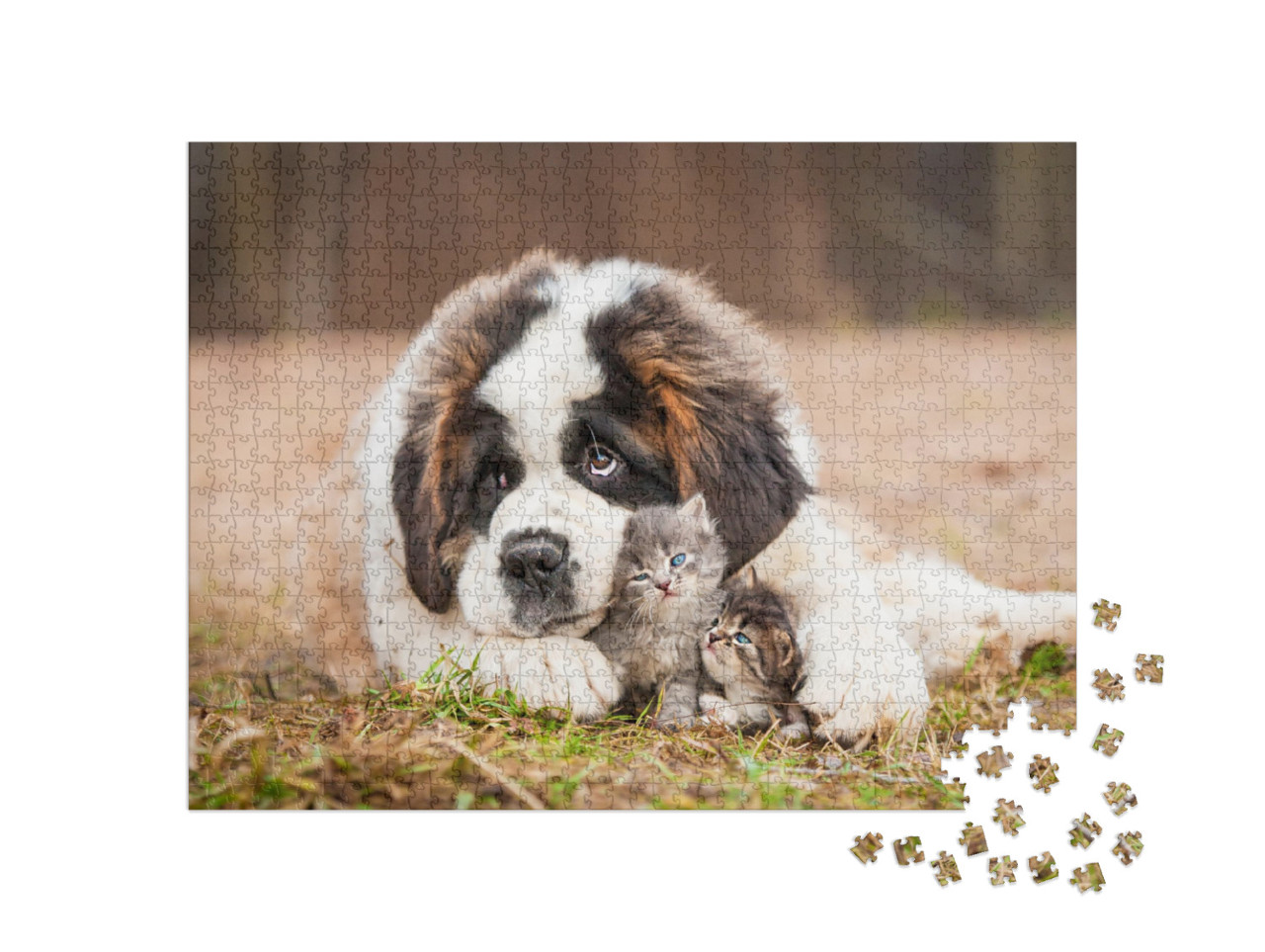 Saint Bernard Puppy with Little Kittens... Jigsaw Puzzle with 1000 pieces