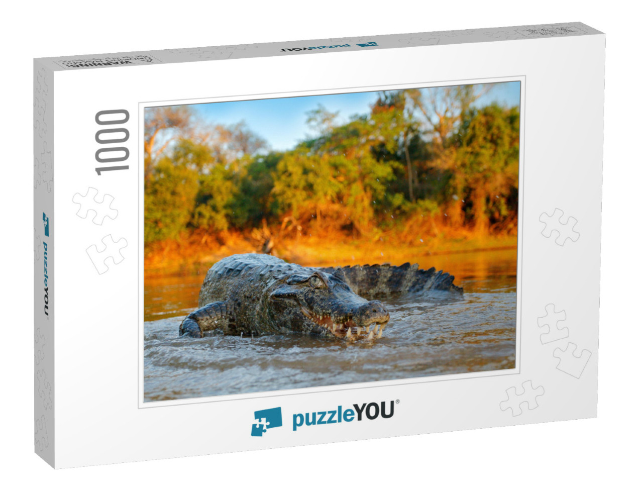 Crocodile Catch Fish in River Water, Evening Light. Yacar... Jigsaw Puzzle with 1000 pieces