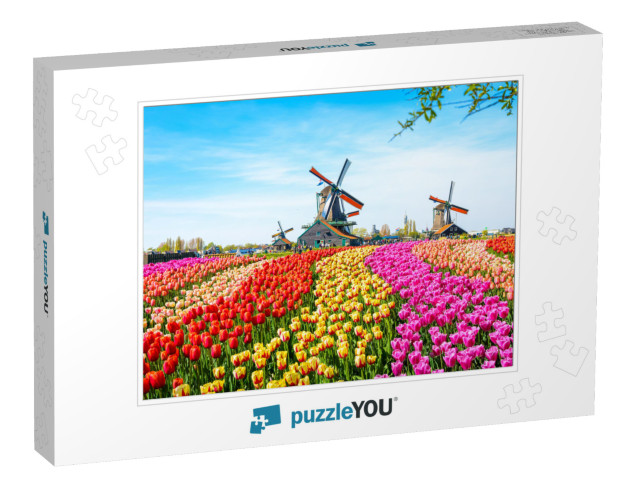 Landscape with Tulips, Traditional Dutch Windmills & Hous... Jigsaw Puzzle